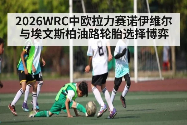 2026WRC中欧拉力赛诺伊维尔与埃文斯柏油路轮胎选择博弈